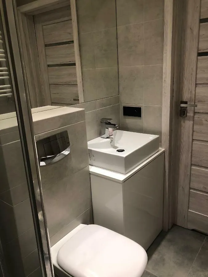 Silver Coin Apartment Krakow